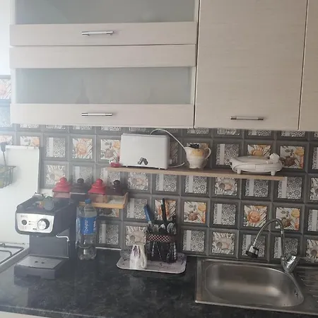 Апартаменти Garsoniera Sorin Ефоріє-Норд