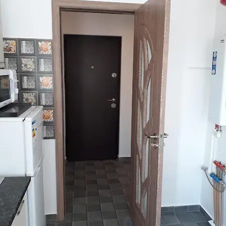 Garsoniera Sorin Apartment