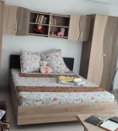 Apartment Garsoniera Sorin
