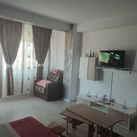 Apartment Garsoniera Sorin *