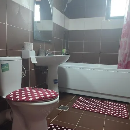 Lägenhet Garsoniera Sorin