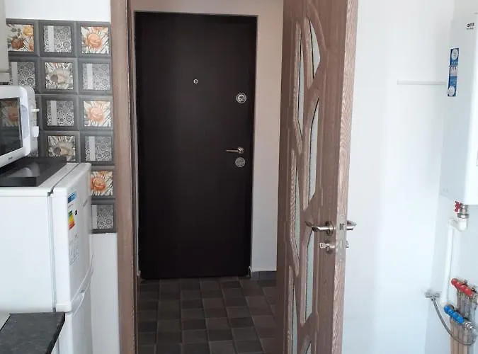 Garsoniera Sorin Apartment