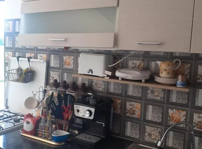 דירה Garsoniera Sorin *