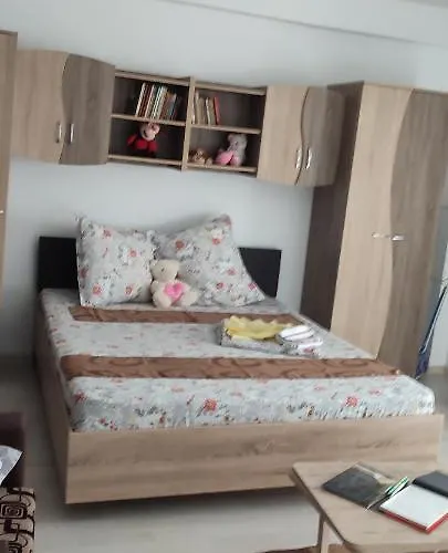 Apartment Garsoniera Sorin
