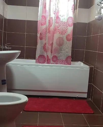 Garsoniera Sorin אפורי נורד