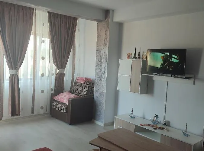 Apartment Garsoniera Sorin *