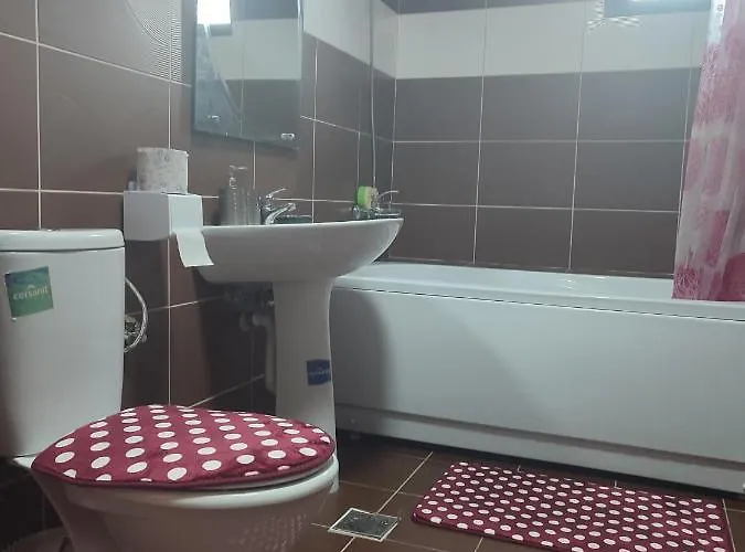 Apartmán Garsoniera Sorin