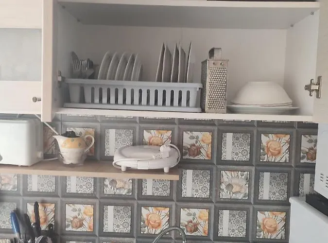 דירה Garsoniera Sorin אפורי נורד