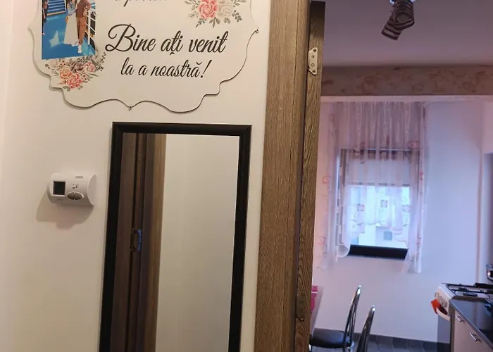 Apartment Garsoniera Sorin